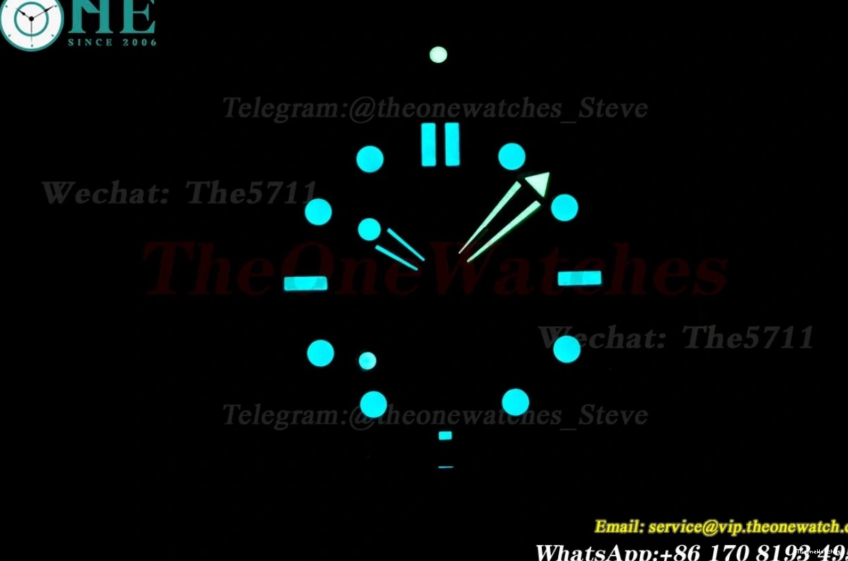 SS 300m Dial 42mm Seamaster Black A8800 JVSF RG 0226